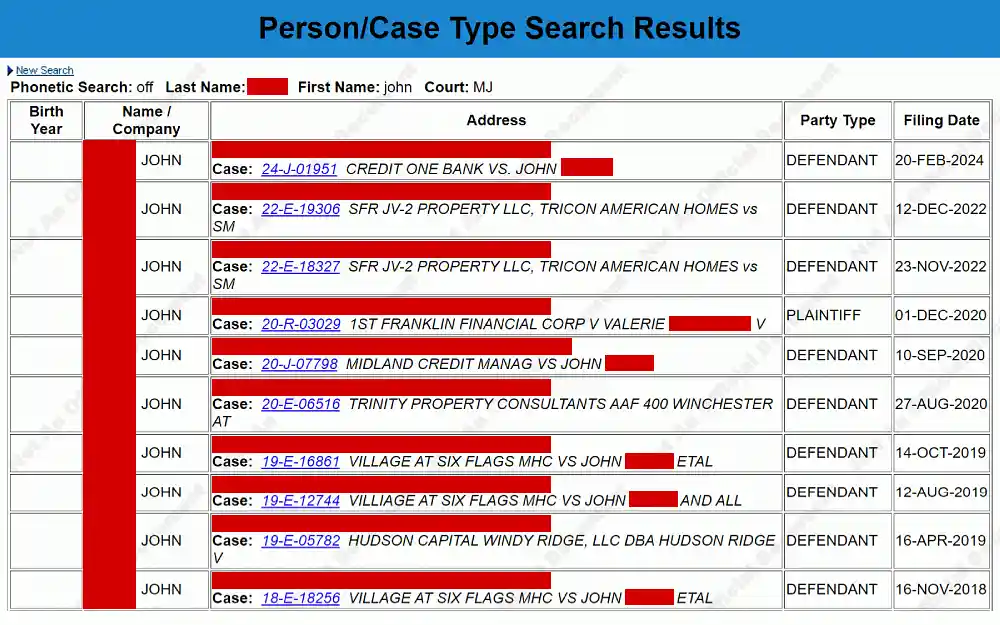 A screenshot displaying a person or case type search results showing information such as birth year, if available, name or company name, address, party type and filling date.